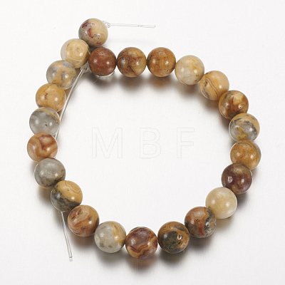 Natural Crazy Lace Agate Round Bead Strands X-G-M272-03-8mm-1