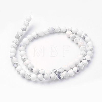 Natural Howlite Bead Strands G-G735-66F-6mm-1