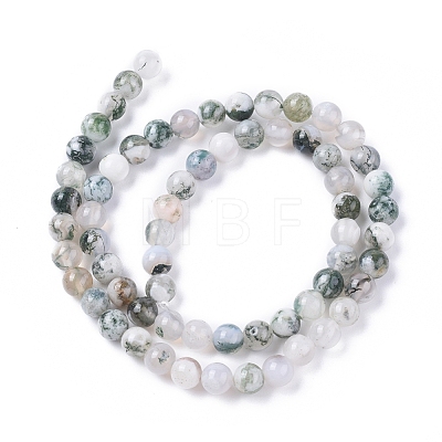 Natural Tree Agate Beads Strands X-G-L533-22-1