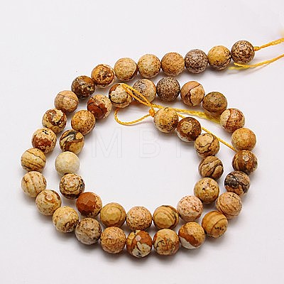 Natural Picture Jasper Beads Strands G-G542-6mm-08-1