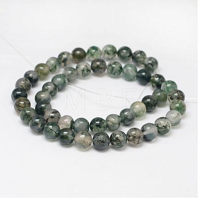 Natural Moss Agate Beads Strands G-F342-02-6mm-1