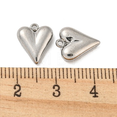 304 Stainless Steel Charms STAS-L022-108P-07-1
