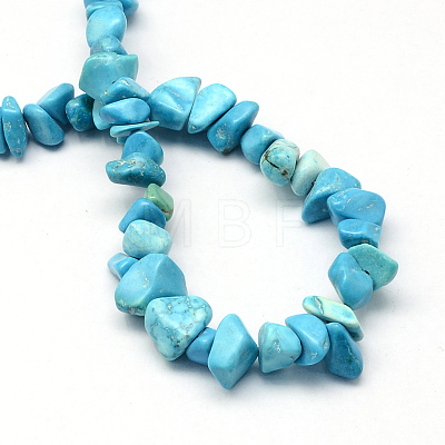 Dyed Synthetic Turquoise Stone Bead Strands G-R192-B24-1