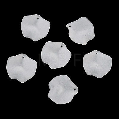 Frosted Acrylic Pendants SACR-F016-02C-1
