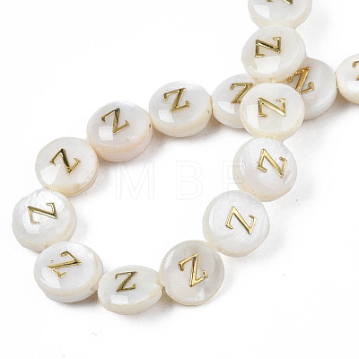 Natural Freshwater Shell Beads SHEL-S276-168-1