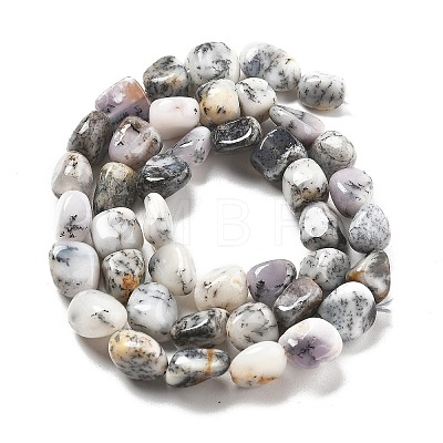 Natural White Opal Beads Strands G-C179-F02-01-1