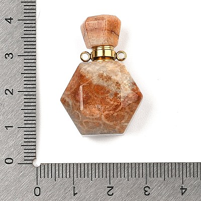 Natural Fossil Coral Perfume Bottle Pendants G-P554-G03-1