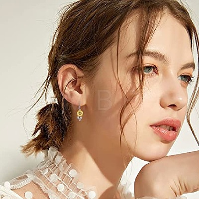 Alloy Dangle Earrings for Women WG164F9-01-1