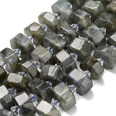 Natural Labradorite Beads Strands G-L642-H05-01-1