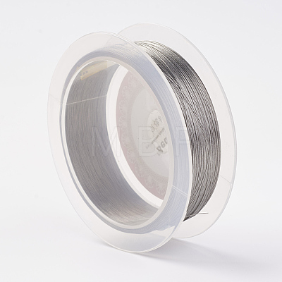 Steel Wire TWIR-E001-0.3mm-1