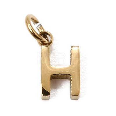 304 Stainless Steel Charms SA-CBABF3F-01G-H-1