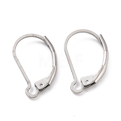 304 Stainless Steel Leverback Earring Findings STAS-K233-04P-1