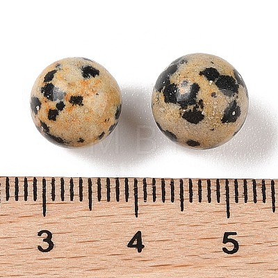 Natural Dalmatian Jasper No Hole Sphere Beads G-K353-04A-16-1