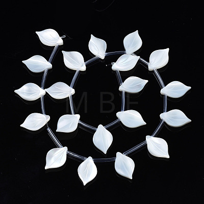 Natural White Shell Beads Strands SSHEL-S278-119-1