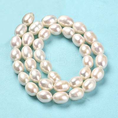 Natural Cultured Freshwater Pearl Beads Strands PEAR-E016-193-1