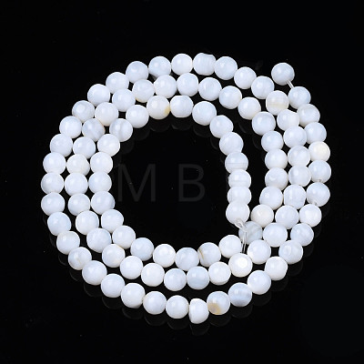 Natural Freshwater Shell Beads Strands SHEL-N003-24-A01-1