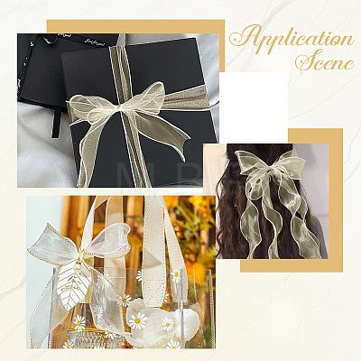 1Bag Organza Ribbon ORIB-CY0001-04C-1