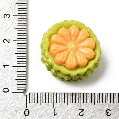 Fruit Theme Opaque Resin Cabochons RESI-C079-02B-1