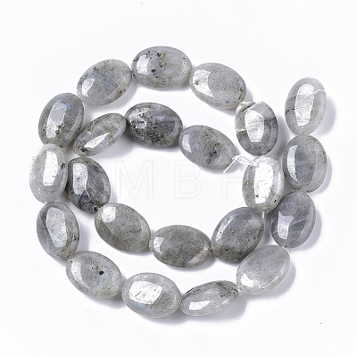 Natural Labradorite Beads Strands G-S359-001B-1