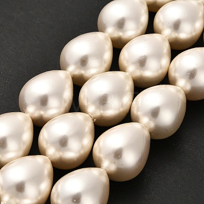 Electroplate Shell Pearl Beads Strands BSHE-G010-16x20mm-01-1