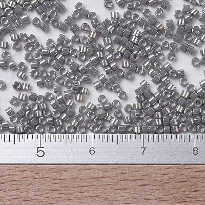 MIYUKI Delica Beads Small SEED-X0054-DBS0251-1