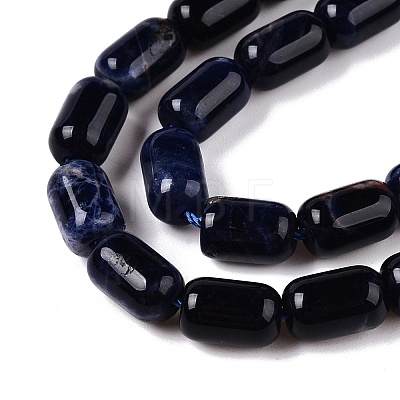 Natural Sodalite Beads Strands G-G980-37B-1