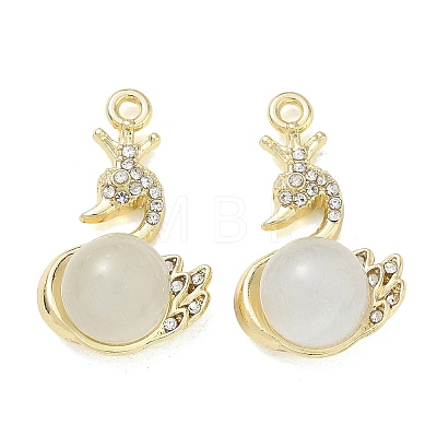 Alloy Rhinestone Pendants FIND-D044-22G-04-1
