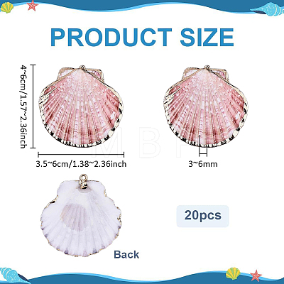 20Pcs Electroplate Natural Sea Shell Pendants SSHEL-PH0001-52-1