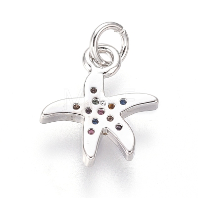 Brass Micro Pave Cubic Zirconia Charms ZIRC-I032-54P-1