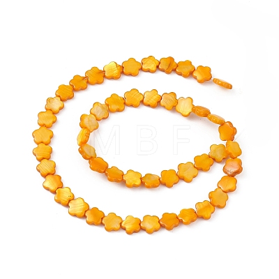 Natural Freshwater Shell Dyed Beads Strands SHEL-K001-001H-1