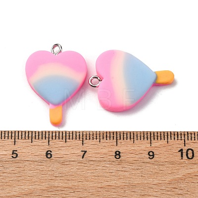 Resin Pendants CRES-U007-01P-01-1