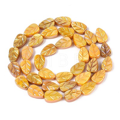 Natural Freshwater Shell Carved Beads Strands SHEL-N038-25F-1