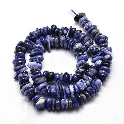 Natural Sodalite Chip Beads Strands G-E271-125-1