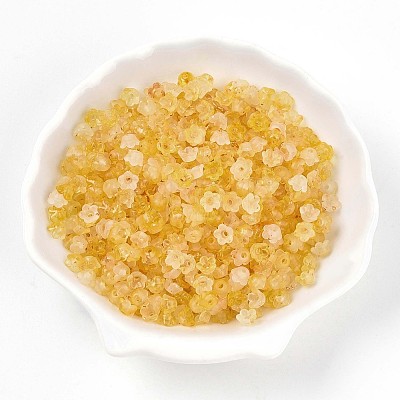 Frosted Transparent Acrylic Beads LS-X-OACR-N137-72G-1