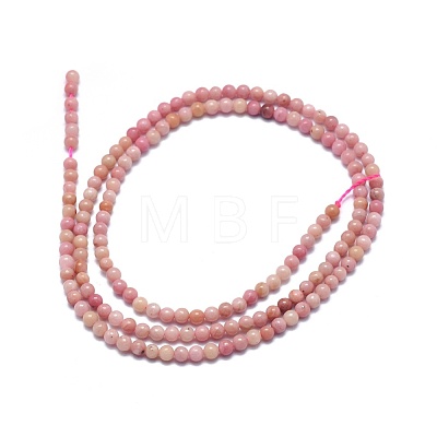 Natural Rhodonite Beads Strands G-A177-04-16-1