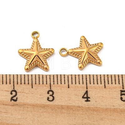 304 Stainless Steel Charms STAS-L022-217G-1