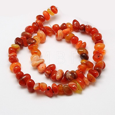 Nuggets Natural Red Carnelian Beads Strands G-N0128-69-1