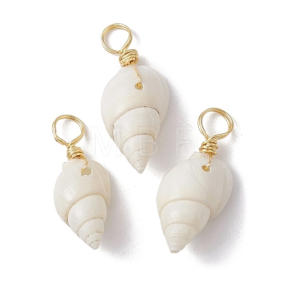 Natural Spiral Shell Pendants PALLOY-JF02492-01-S-1