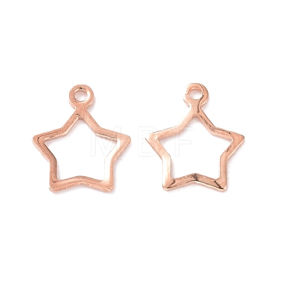 304 Stainless Steel Charms LS-STAS-P227-21RG-1
