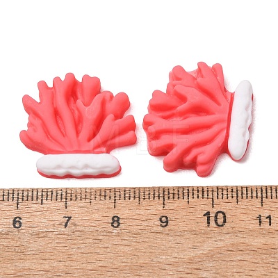 Opaque Resin Cabochons RE-CBA49A8-06-1