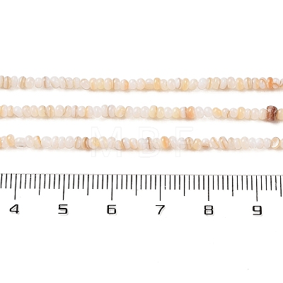 Natural Freshwater Shell Beads Strands SHEL-P017-01A-10-1