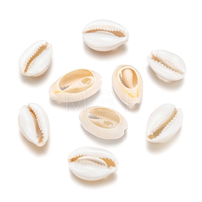 Natural Cowrie Shell Beads X-SHEL-S274-54-1