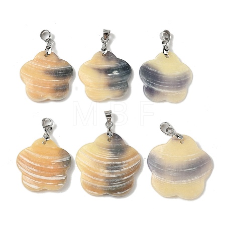 Natural Scallop Shell Pendants SHEL-K006-56P-1