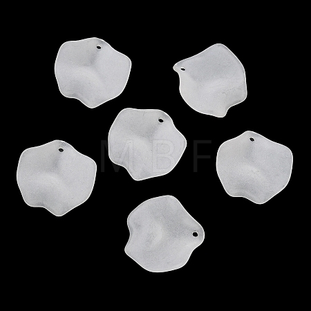 Frosted Acrylic Pendants SACR-F016-02C-1