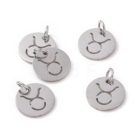 Non-Tarnish 304 Stainless Steel Charms STAS-Q201-T445-2S-1