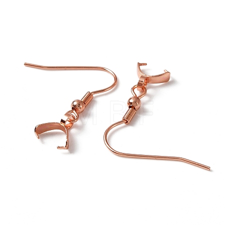 304 Stainless Steel Earring Hooks STAS-WH0035-14RG-1