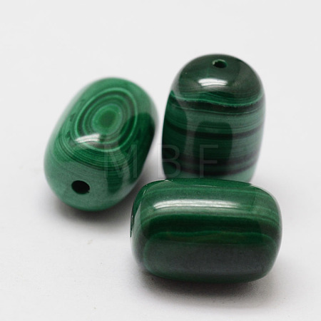 Wax Gourd Natural Malachite Beads X-G-I178-03-8x12-1
