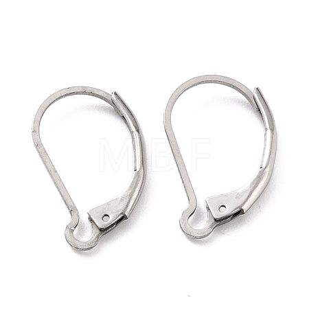 Non-Tarnish 304 Stainless Steel Leverback Earring Findings STAS-K233-04P-1