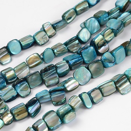 Shell Beads Strands X-PBB051Y-1