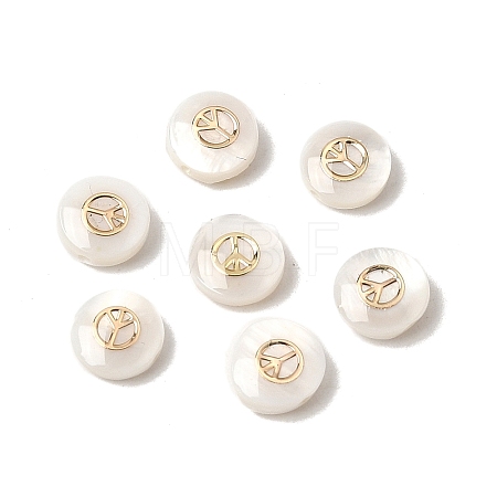 Natural Freshwater Shell Flat Round Beads SHEL-C009-01D-1
